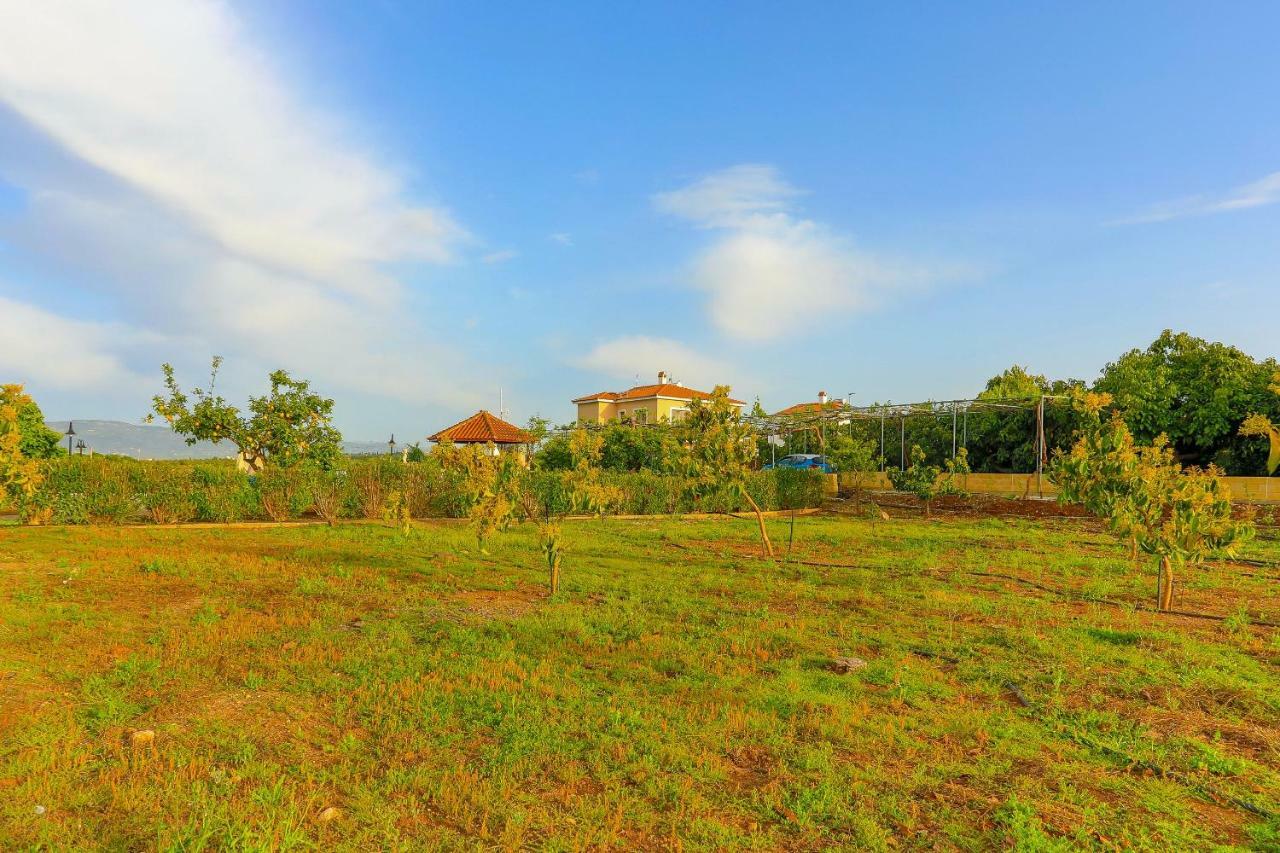 Villa Athina Finiki Polis Buitenkant foto